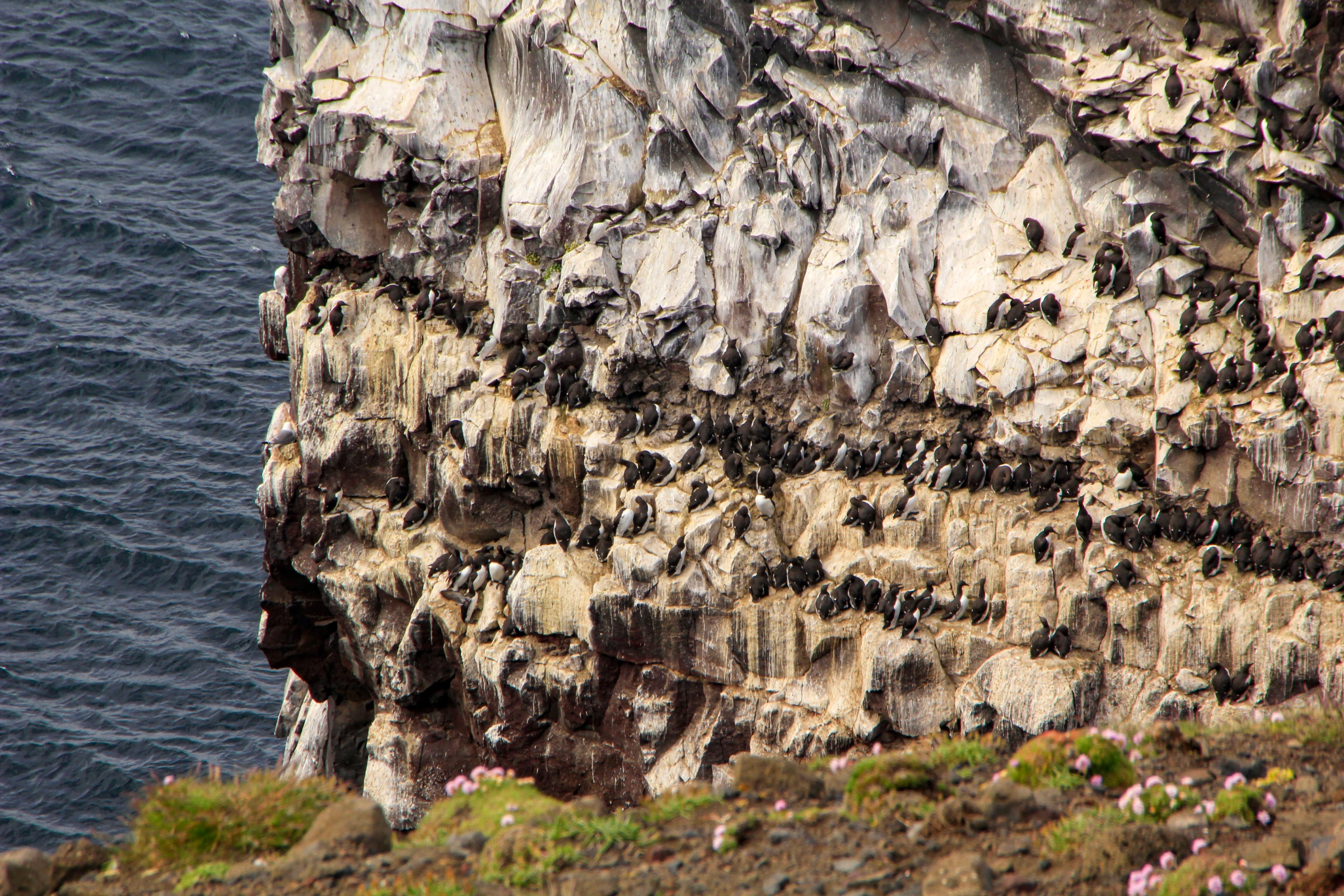 Raufarhöfn[1].webp